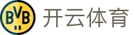 开云体育官方入口 - Kaiyun Sports 官方全平台 APP 下载及访问入口